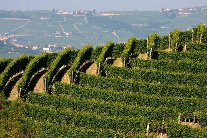 Agriturismo Cascina Rabalot Диано-д'Альба Экстерьер фото
