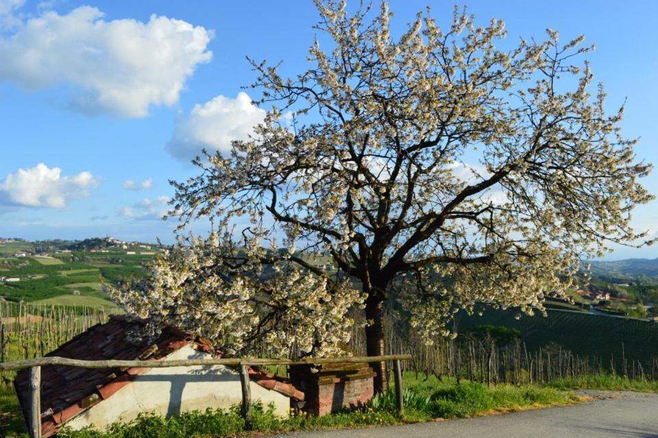 Agriturismo Cascina Rabalot Диано-д'Альба Экстерьер фото