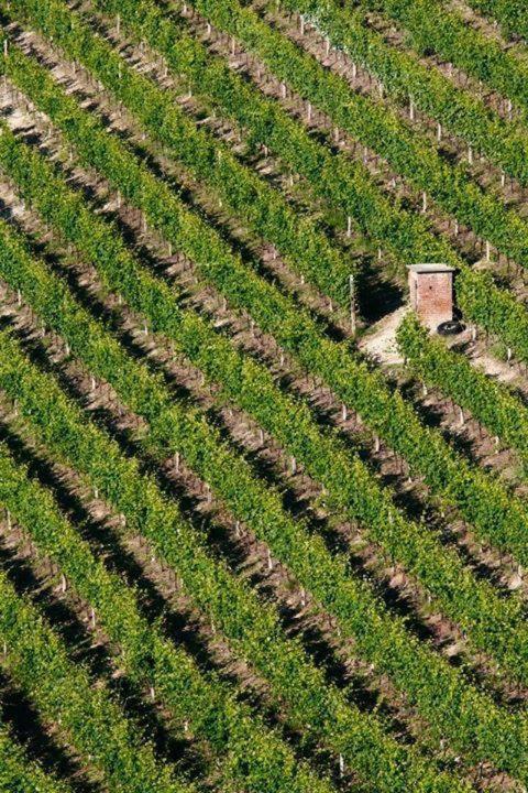 Agriturismo Cascina Rabalot Диано-д'Альба Экстерьер фото